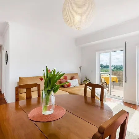 Апартаменты Suri